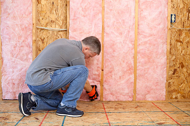 Best Types of Insulation in North Fond Du Lac, WI